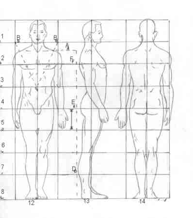 proportions of body. The figures to the right (12